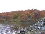 Herfst intrede
