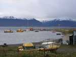 Puerto Almanza, overkant Pto Williams