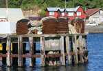 Ancud