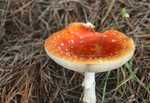 Herfst in aantocht