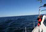 Relaxed de Pacific op