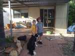 010. John, Sam en de hond