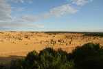 032. Pinnacles Desert