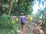 031. Nosy Komba