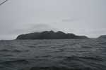 Isla Tamar 1