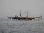 072. Vis eiland
