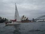 024. Nightfly in Sydney