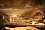 057. Jenolan Caves