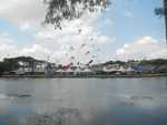 065. Kite festival