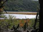 Laguna Negra, Lapataia