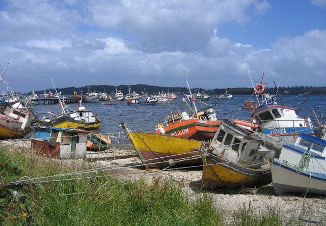 Puerto Quellon 1