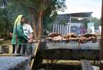 Vlees op de asado
