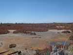 017. Kangaroo Island