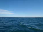 044. Great Australian Bight