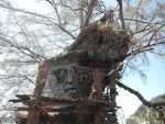 019. Boomhut