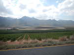 048. Hottentots
