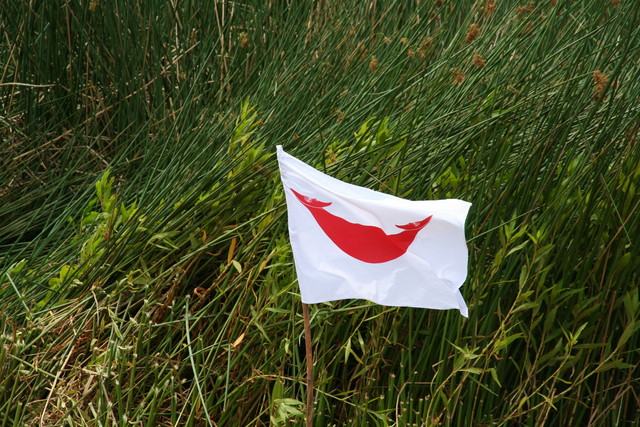 013. Rapa Nui vlag