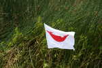 013. Rapa Nui vlag