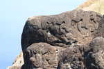 062. Petroglyphen bij Orongo
