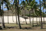 078. Palmenstrand Anakena