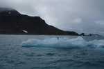 Pinguin eiland
