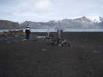 Whalers Bay 2