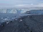 Yankee Harbour
