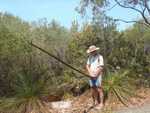 012. Kangaroo tail of......
