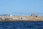 030. Cape Barren Island