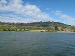 034. Tamar valley, wijngaarden