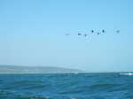 047. Cape Agulhas