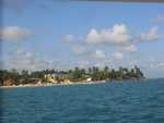 Tamandar�
