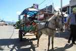 011. Benhur taxi, Sape