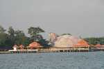 066. Schildpad in Jepara
