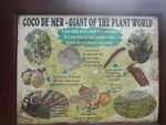 003. Genaamd Coco de Mer