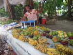015. Kleurrijk fruit