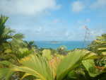 027. Ile Cousin en Cousine