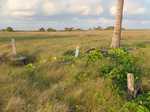 020. Graven op West Island