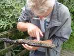 014. Met natuurgids George