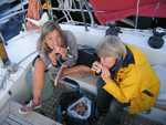 Restant centollas oppeuzelen