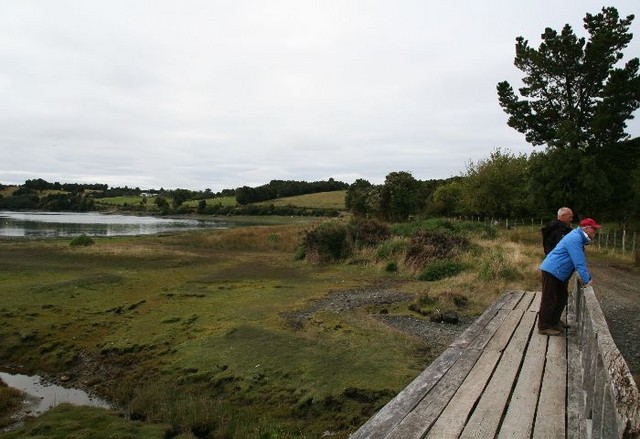 Isla Anihue 2