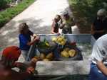 007.  Fruitoogst