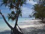 019. Wit zand, blauw water