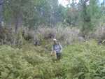 022. Verhitte wandeling zonder pad