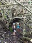 030. Laatste wandeling op Gambier