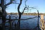 006. Kepwari Wetland