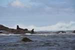 019. Investigator eiland