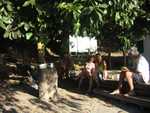 Bbq op de kant
