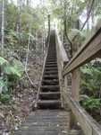 015. Warrens track