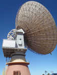 038. OCT Dish